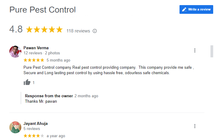 Google Reviews
