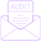 Audit Results