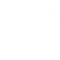 Custom SEO Plans