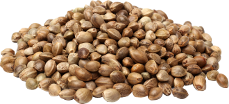 Hemp Mil Cannabis