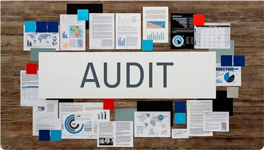 In-Depth PPC Audits