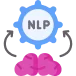 Advanced NLP & Model Training