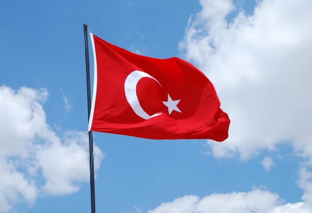 SEO in Turkish