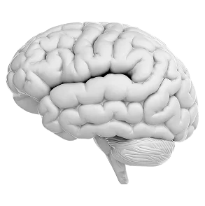 Seeking rapid growth in the neurology industry?