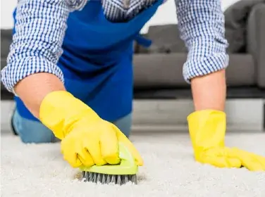Carpet Cleaning Marketing Services