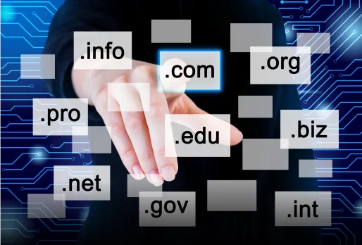 Link Building Services