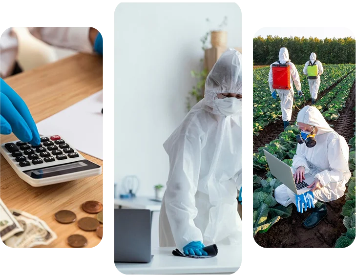 Cost & Pricing of Pest Control SEO